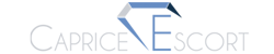 Logo Blue Jay Advertising